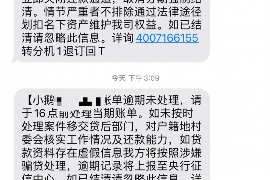 尼木为什么选择专业追讨公司来处理您的债务纠纷？